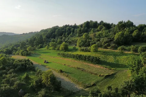 Farmland in Transylvania, Romania