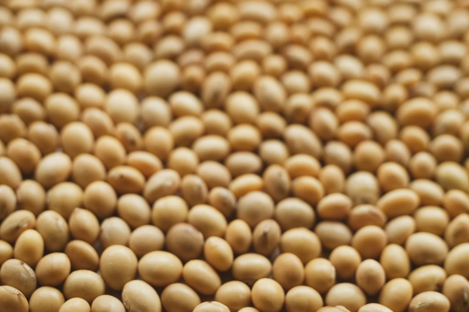 A close view of soya beans on brown paper